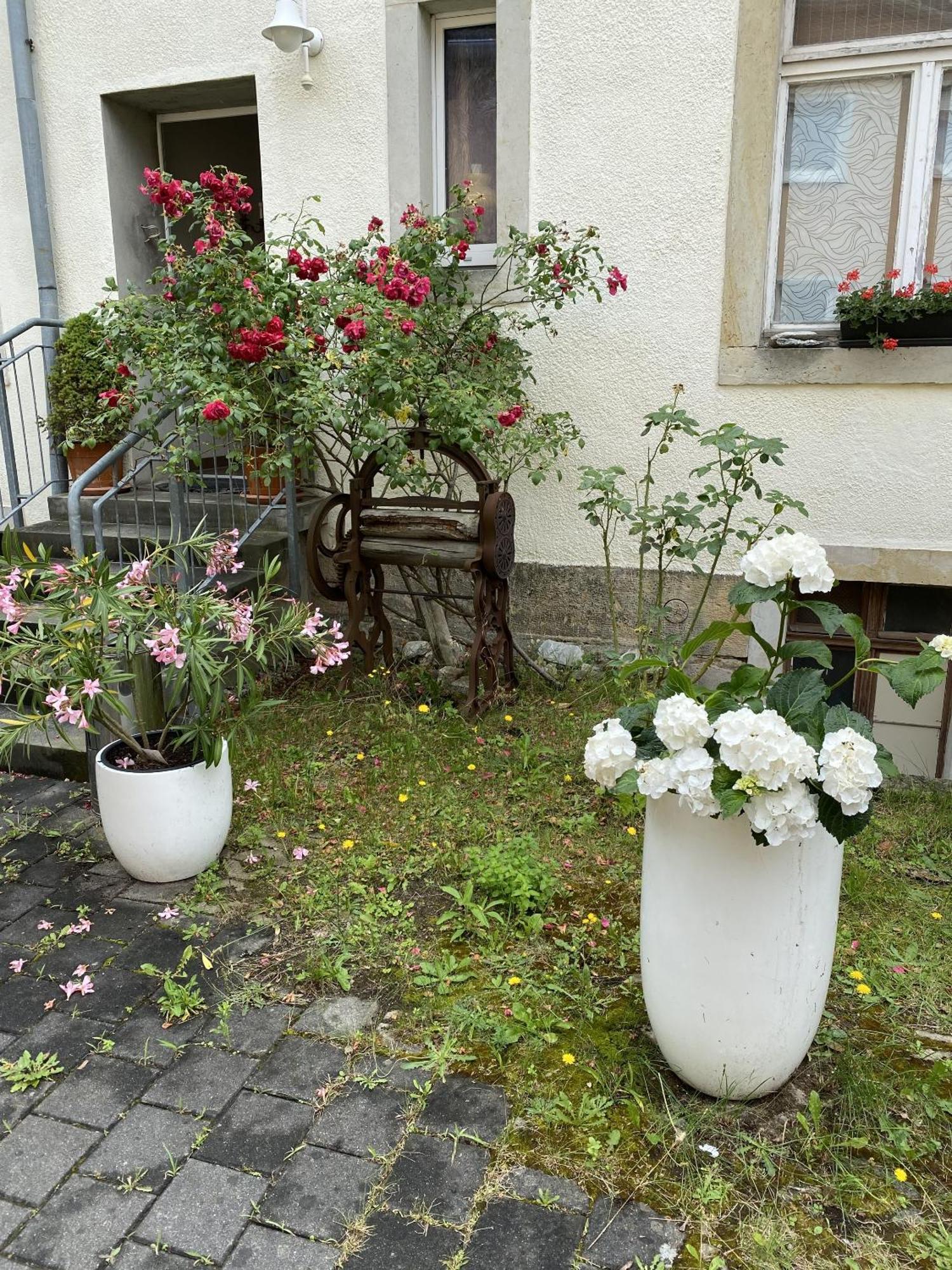 Apartments Und Zimmer Gaestehaus Matthias Dresden Exterior foto